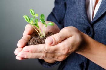 Investment growth