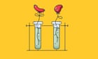 Secrets and pies: the battle to get lab-grown meat on the menu