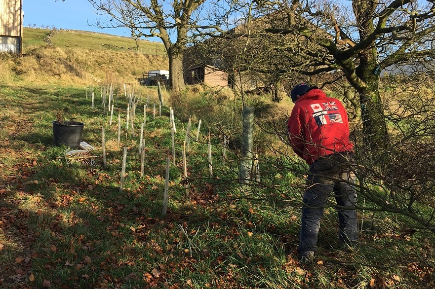 Tech company and mental health charity team up to plant 1