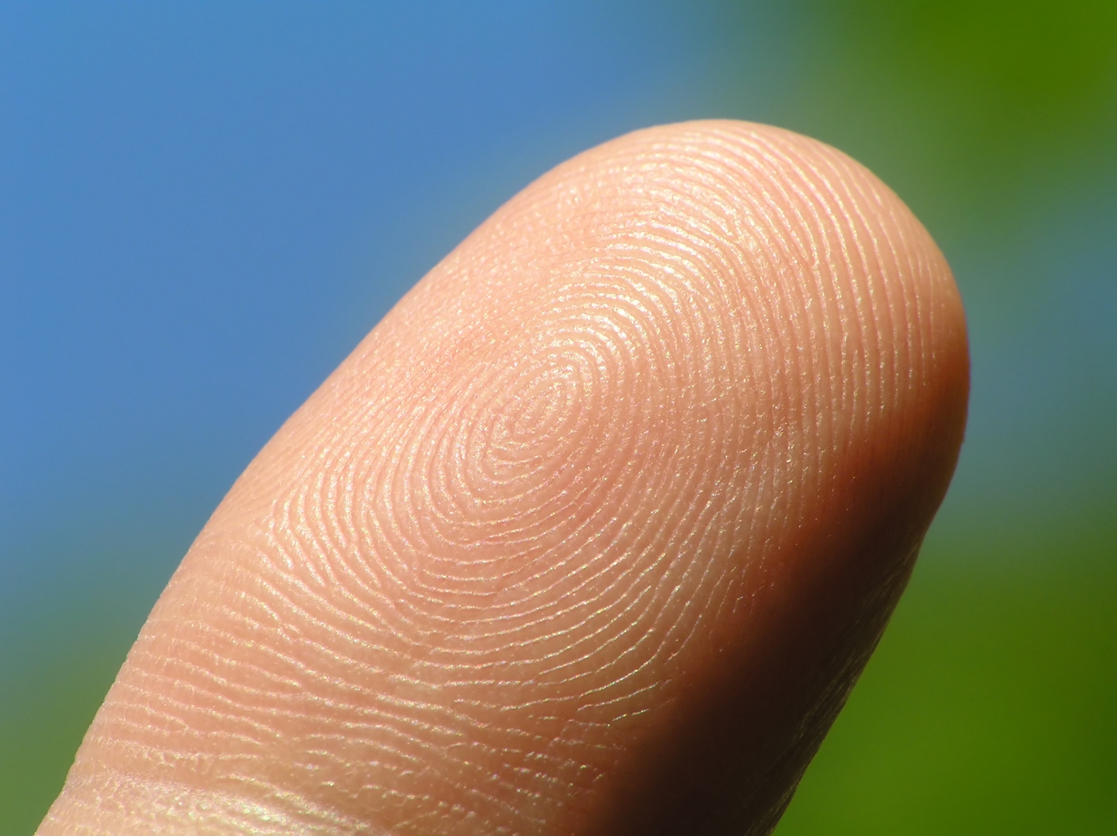 Mobeus backs fingerprint scanner developer Biosite