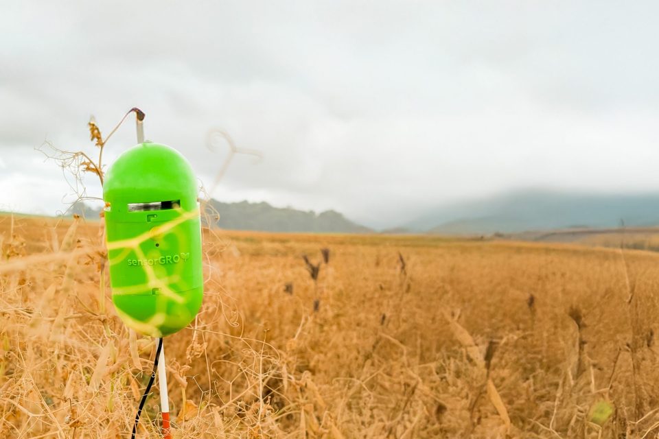 Light Science Technologies completes acquisitions to expand operations